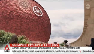 World Expo 2025: Singapore Pavilion housed in three-storey sphere clad in recycled aluminium discs