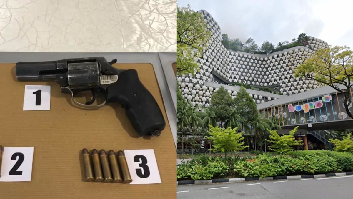 Ex-auxiliary police officer admits carrying loaded revolver to mall, intended to kill himself after breakup