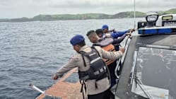 Related article image