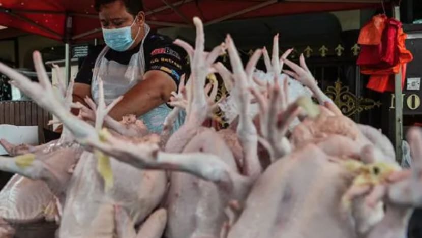 Harga ayam M'sia dijangka naik bulan depan apabila skim harga maksimum runcit dimansuhkan Harga ayam M'sia dijangka naik bulan depan apabila skim harga maksimum runcit dimansuhkan