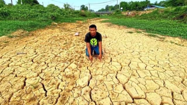 马国吉兰丹三十年来最严重干旱影响稻米收成 农民料损失达5800万元