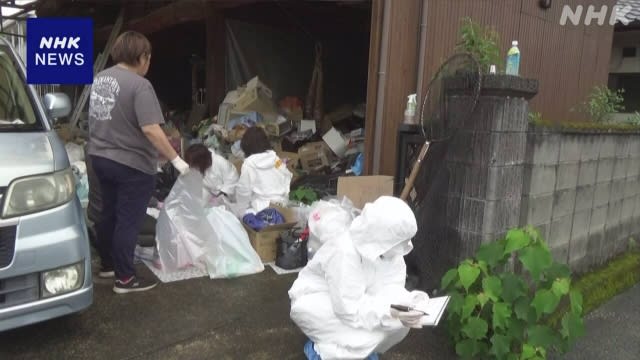猫咪收容处变炼狱 熊本一住家发现逾百猫尸
