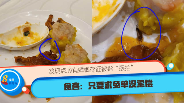 发现点心有蟑螂存证被指“摆拍” 食客：只要求免单没索偿