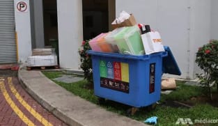 Pencemaran tinggi, kurang pengetahuan cabaran utama gerakan kitar semula di S'pura