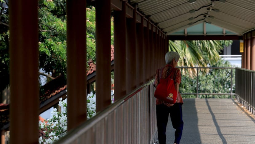 Silver Support criteria should exclude housing type: MPs