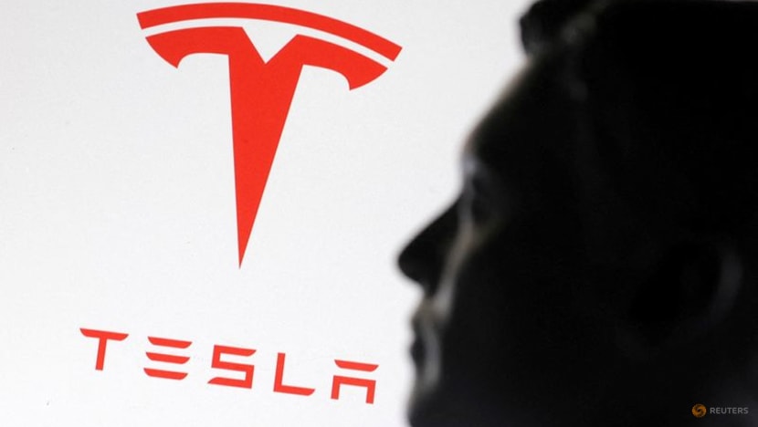 Tesla on track to launch robotaxi trial in Austin, Texas, by June end, Musk says