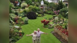 Related article image