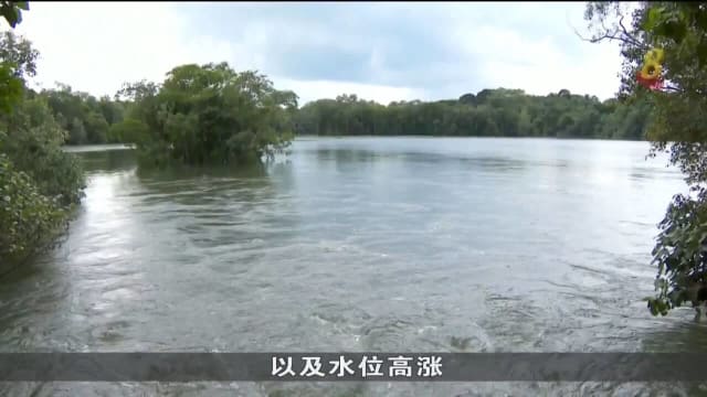 双溪布洛木桥受损导致父女跌入 公园局已修补缺口