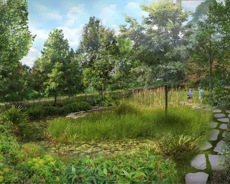 NParks to develop Singapore’s longest cross-island trail and 3 new recreational routes