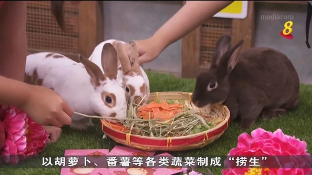 动物园和环球影城等本地景点 迎来海内外访客举家同乐