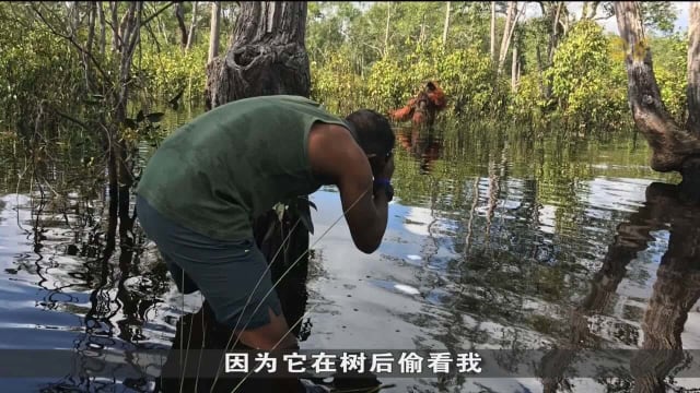 口试练习：如何成为优秀野生动物摄影师？