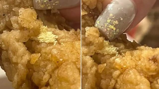 肯德基鸡翅惊现苍蝇卵 新西兰女子当场作呕