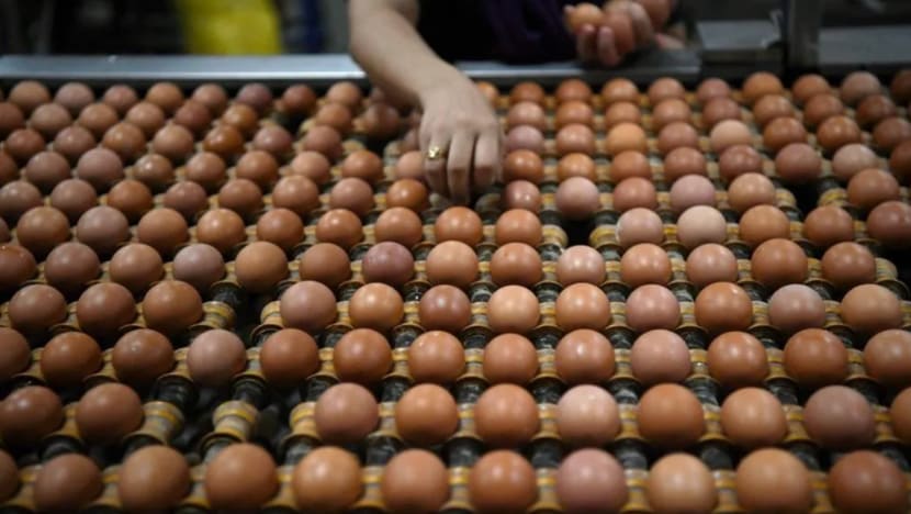 Kerajaan M'sia akan terus kekalkan harga telur di bawah harga kawalan buat masa ini