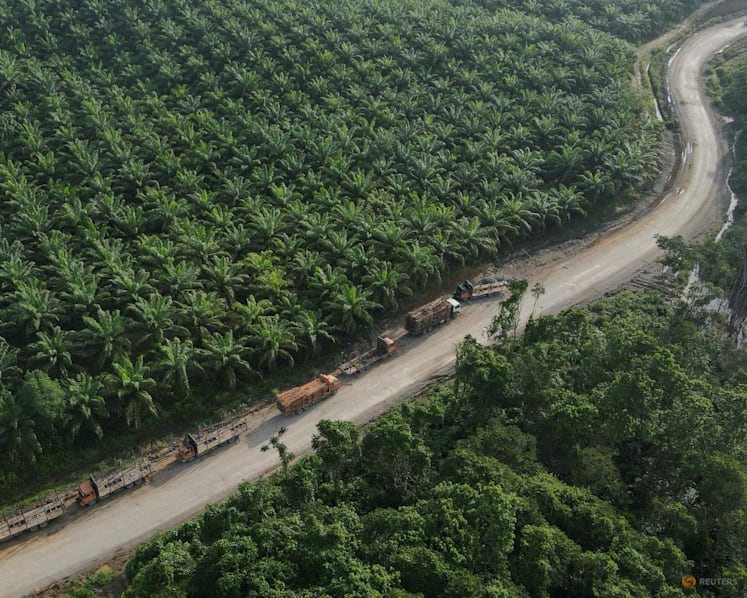 Indonesia to bring commodity exports under centralised control, president says