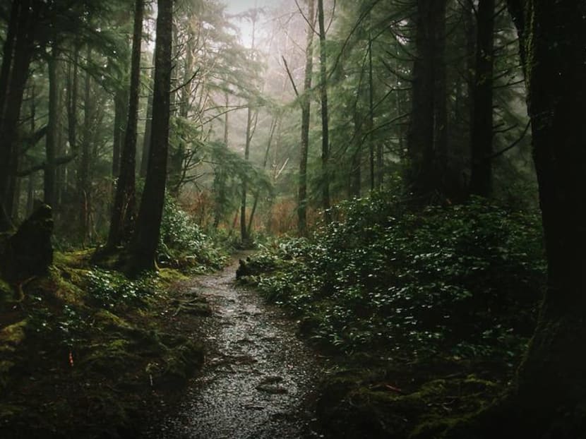 Singapore celebrity ghost stories: Laughter in the jungle, a funeral and a very polite spirit