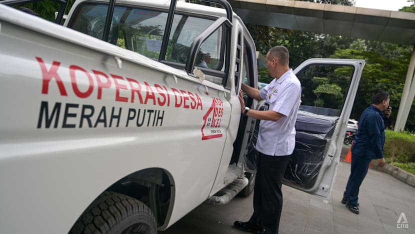 ‘Killing auto industry’: Indonesia faces pushback on US$2.4 billion Indian trucks import