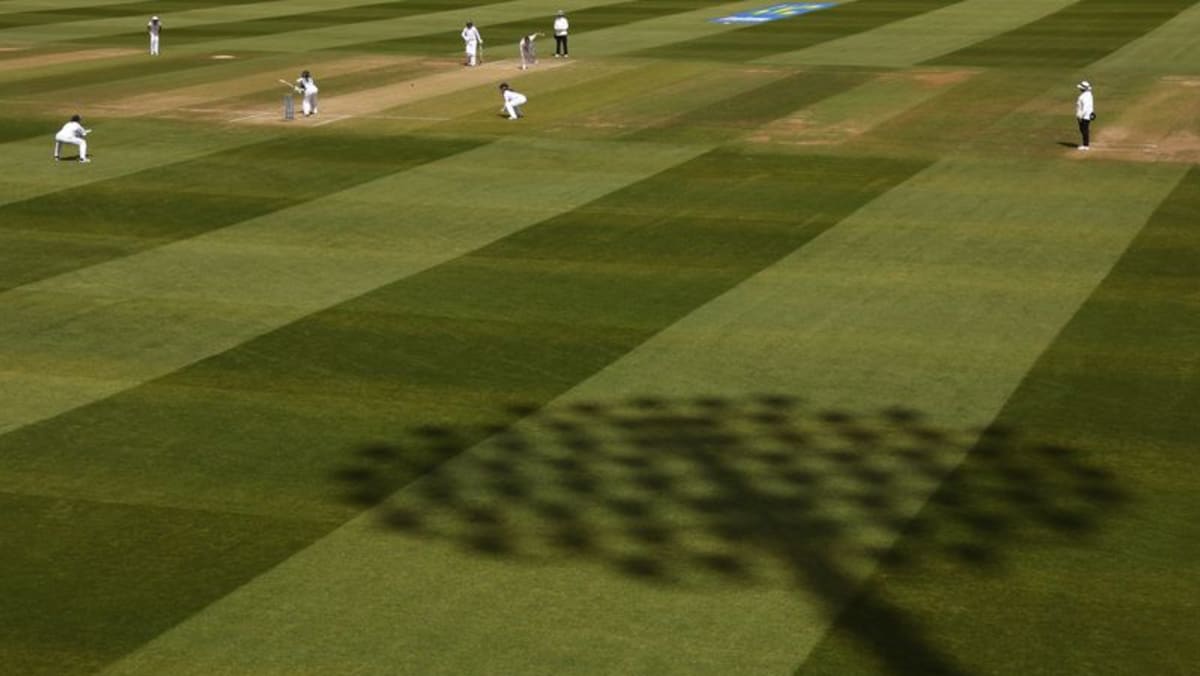 Transgender women barred from women's and girls' cricket in England