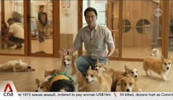 Thai pet food businesses eye higher sales amid global rise in dog and cat ownership