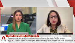India-Indonesia ties set to deepen with defence and economic cooperation: Analyst