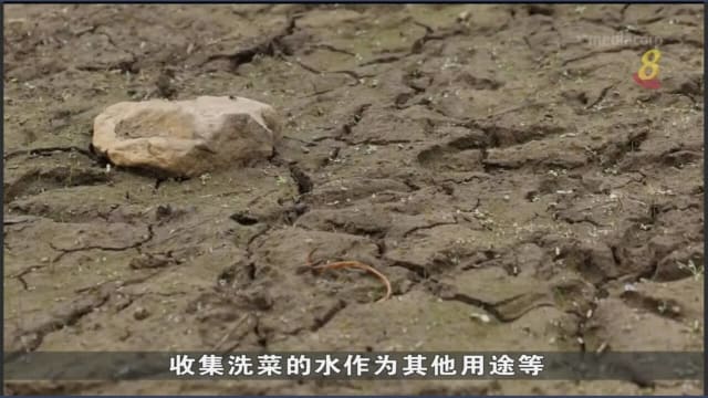 英国经历近50年来最干旱时期 持续长达八个月