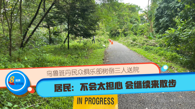 乌鲁班丹民众俱乐部树倒三人送院 居民：不会太担心 会继续来散步 