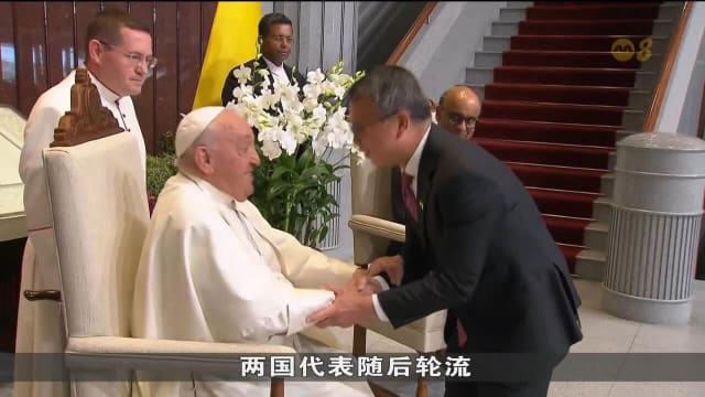 教宗方济各出席胡姬花命名仪式以及欢迎仪式