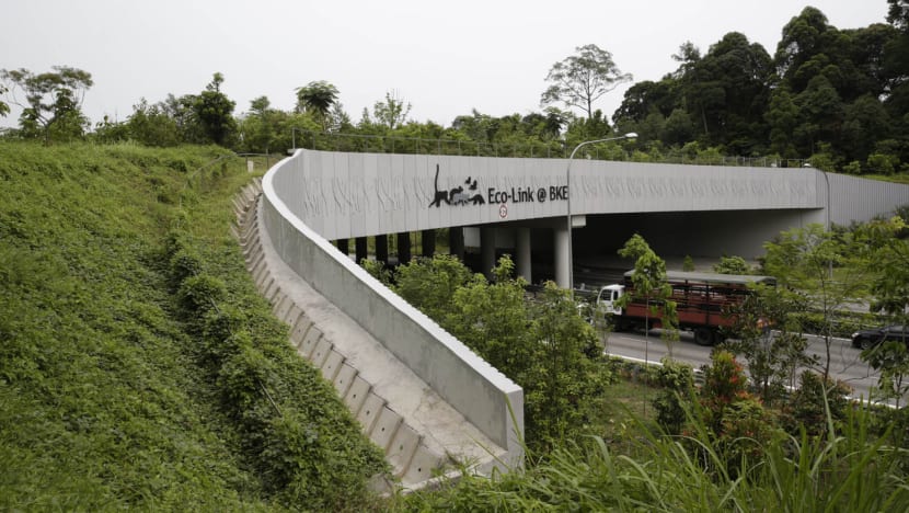 Fresh appeal for Govt to bypass forest in building of MRT line