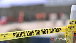 Related article image
