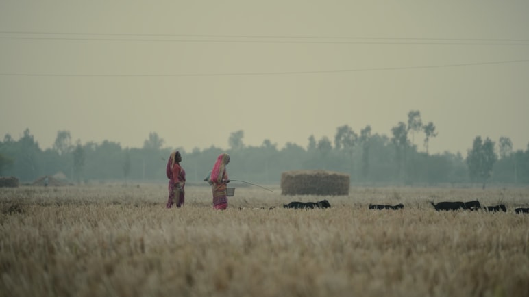Women Of The Wetlands - Part 1