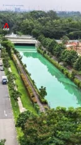 Yishun canal discoloured by wash water contaminated with ink: NEA