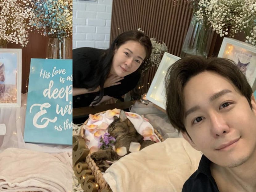 Jesseca Liu And Jeremy Chan Mourn Their Cat&rsquo;s Death; Say He Went To &ldquo;Chop A Seat&rdquo; In Heaven First