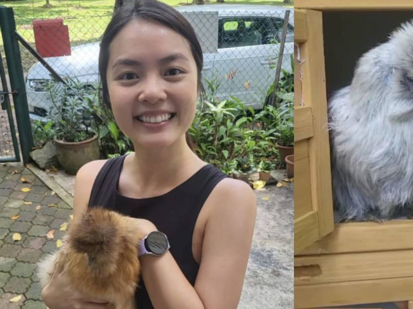 Chantalle Ng now has pet chickens, jokes that mum Lin Meijiao won't let her name them 'Bai Zhan Ji' and 'Shao Ji'