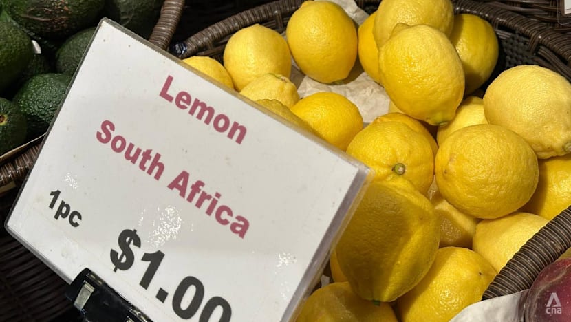 channelnewsasia.com - Fabian Koh - Distance no barrier: How South Africa fits Singapore's food security blueprint