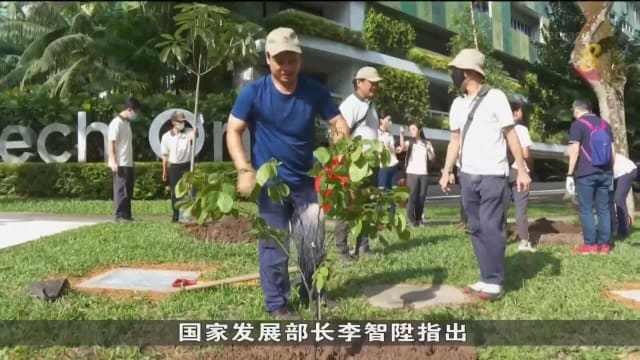 百万树木运动 全岛种植约40万棵树