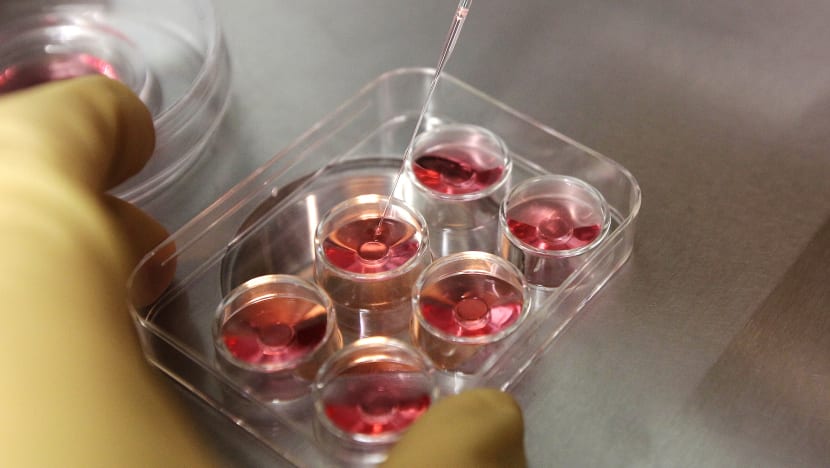 Allowing egg-freezing among recommendations on women's issues by PAP’s Women’s Wing and Young PAP