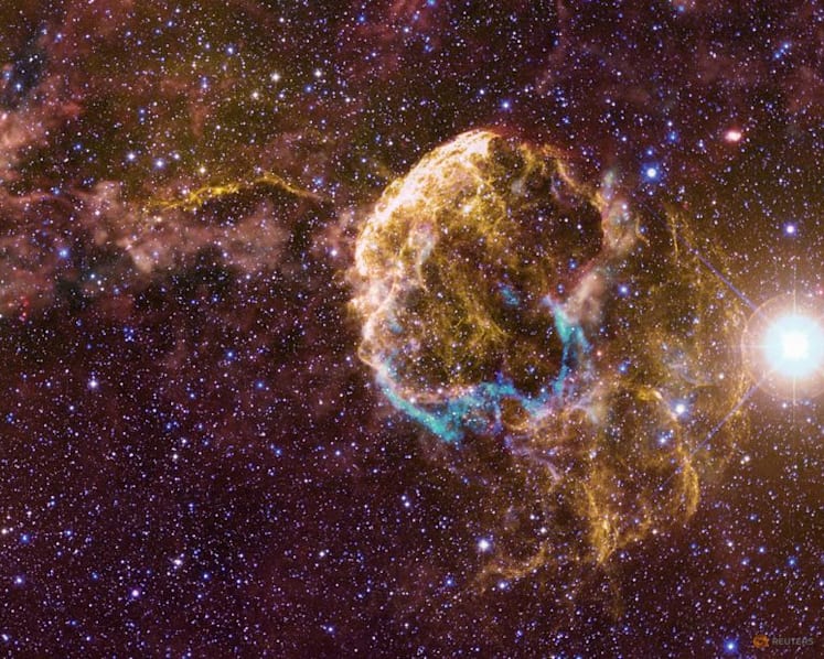 Scientists spot evidence of two huge companion stars that blew up