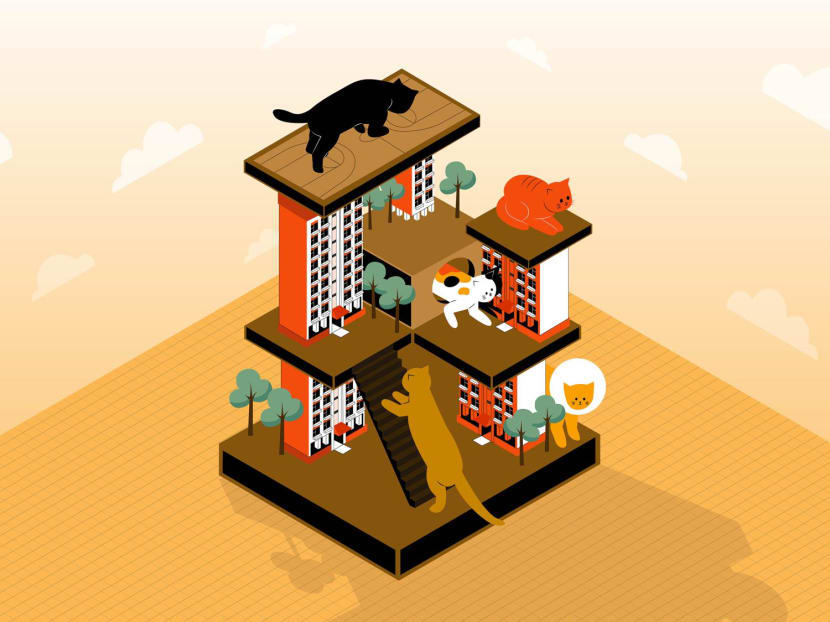 Pet cats have been banned in HDB flats for 34 years, due to concerns that the felines would cause disamenities to residents. A proposed cat management framework by the Animal and Veterinary Service will allow HDB households to own up to two cats from next year, if implemented. Pet cats have been banned in HDB flats for 34 years, due to concerns that the felines would cause disamenities to residents. A proposed cat management framework by the Animal and Veterinary Service will allow HDB households to own up to two cats from next year, if implemented.