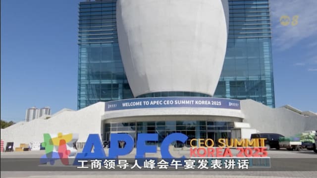 亚太经济合作组织峰会即将在韩国登场 逾1万9000名警力严阵以待