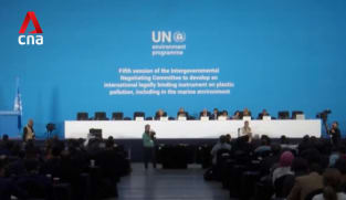 Negotiators, diplomats meeting in Geneva to seal pact on plastic pollution 