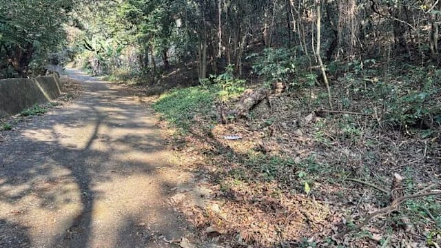 疑毒品纠纷酿骇人命案 台男被挖眼割脸弃尸路边 