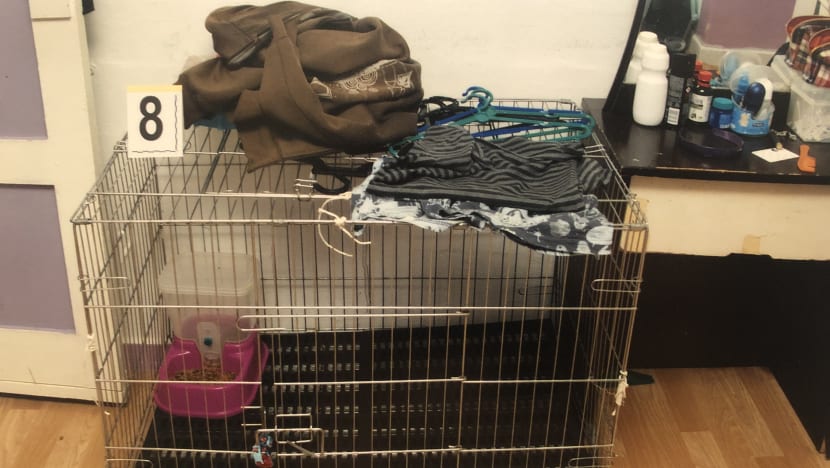 Alleged murder of 5-year-old boy: Mother told police she ‘only wanted him to learn his lesson’