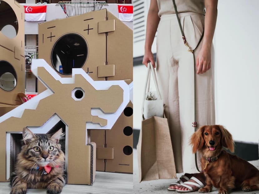 12 pet accessory stores from Singapore catering to the lifestyles of local pets (and their owners)