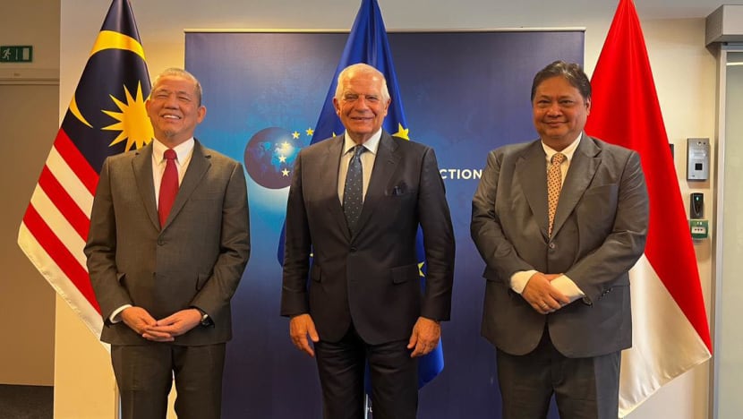 Indonesia, Malaysia criticise EU for 'discriminatory and punitive' actions against palm oil sector Indonesia, Malaysia criticise EU for 'discriminatory and punitive' actions against palm oil sector