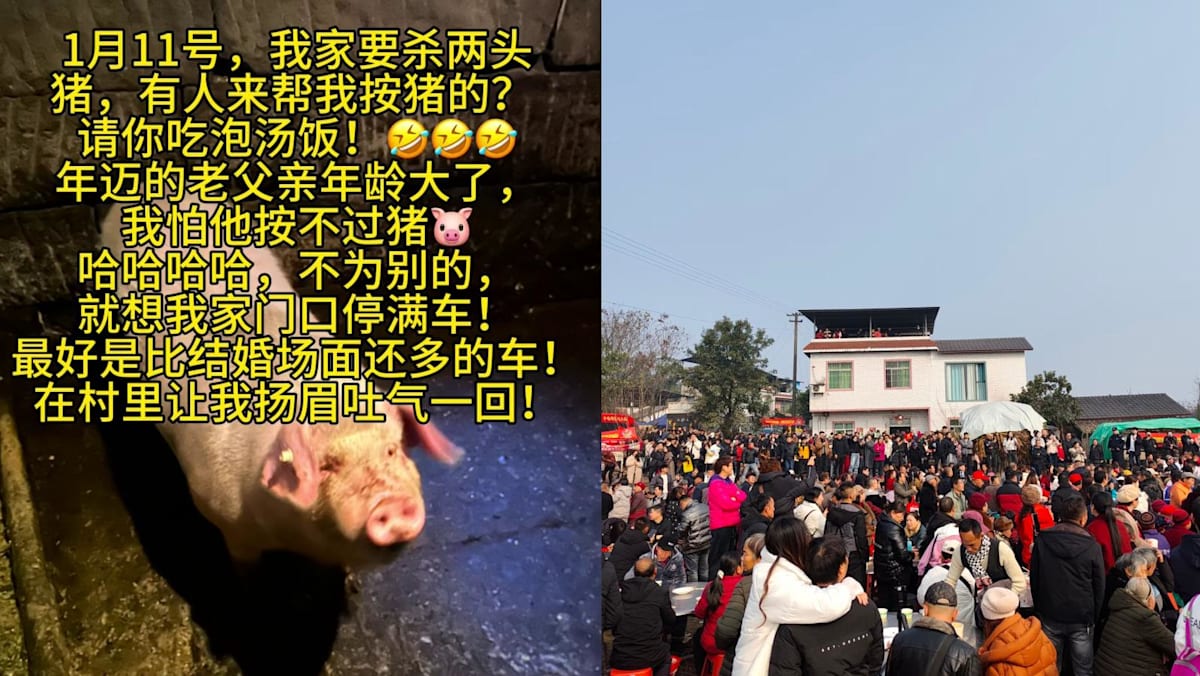 She asked the internet for help with slaughtering two pigs. Thousands turned up in support