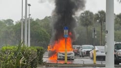 Related article image