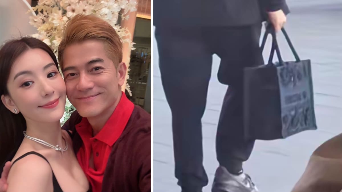Aaron Kwok’s Wife Seeks Help Online After Her Dior Bag Was Snatched At Milan Airport