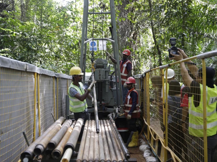 Site investigation works are carried out at the Central Catchment Nature Reserve on March 22, 2017 Photo: Wee Teck Hian/TODAY