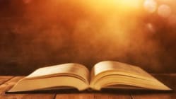 Related article image