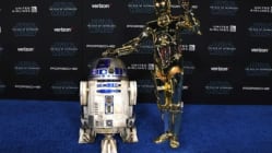 Related article image