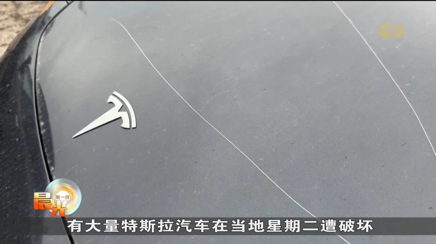 特斯拉汽车屡遭破坏 特朗普：属国内恐怖主义行为